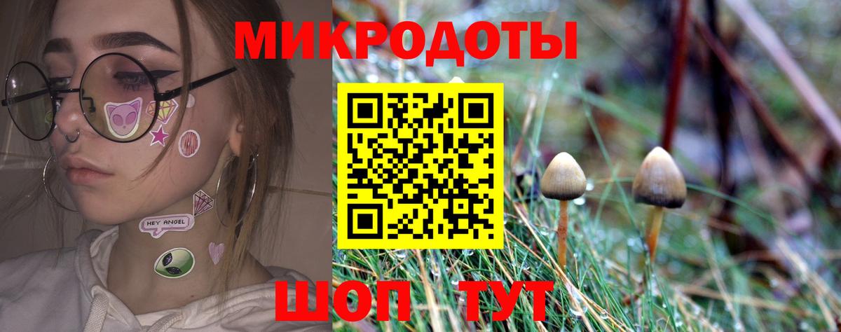 Михайловка  Псилоцибиновые грибы Cubensis  Вход с VPN 